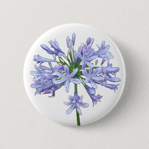 Blauer Agapanthus Button