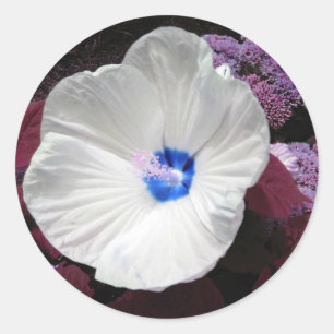 Blauer Aufkleber für Hibiskus - individuell anpass