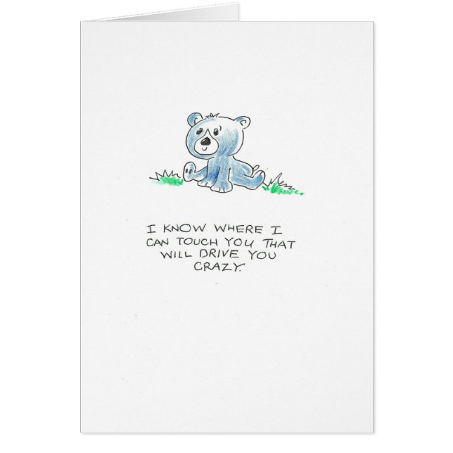 Blauer Bär Touch (Vorne)