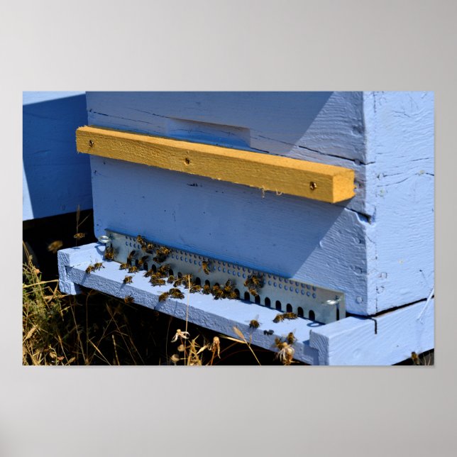 Blauer Bienenstock Poster (Vorne)