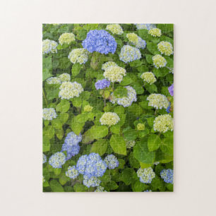 Blauer Blauer Hydrangea Nature Foto Puzzle
