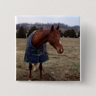 Blauer blauer Seequadrat-Knopf Button