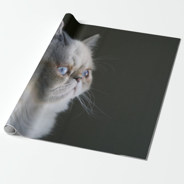 BLAUER BLICK GESCHENKPAPIER (Ungerollt)
