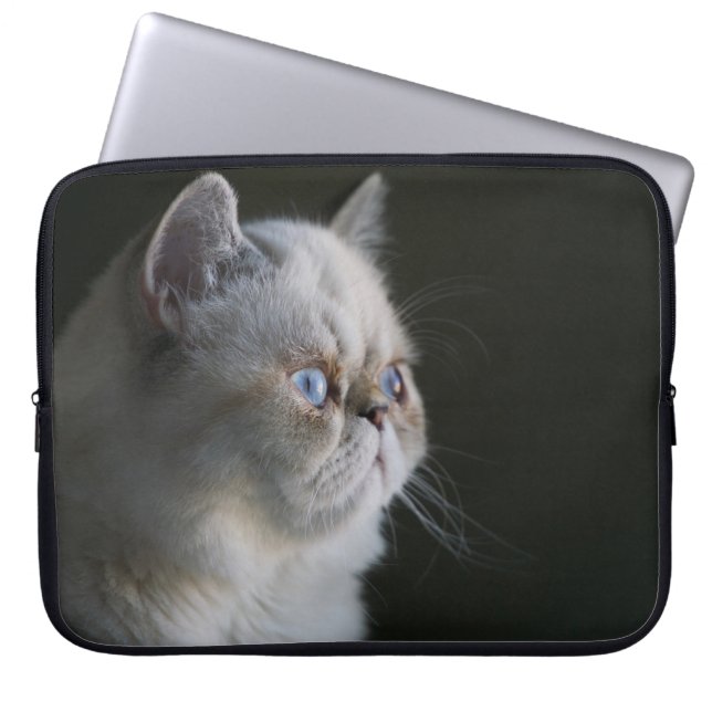 BLAUER BLICK LAPTOPSCHUTZHÜLLE (Vorderseite)