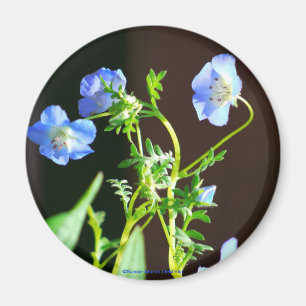 Blauer Blume-Magnet Magnet