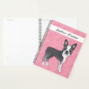Blauer Boston Terrier Hund auf rosa Herzen und Tex Planer