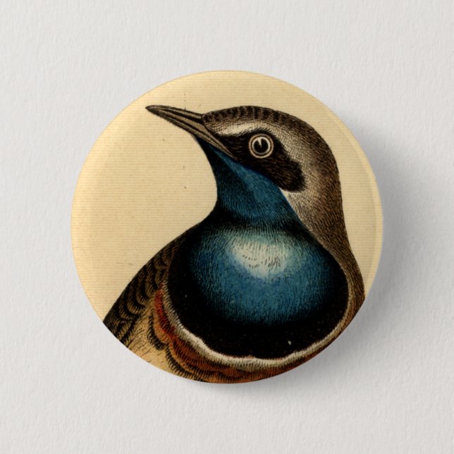 Blauer Breasted Vogel Button (Vorderseite)