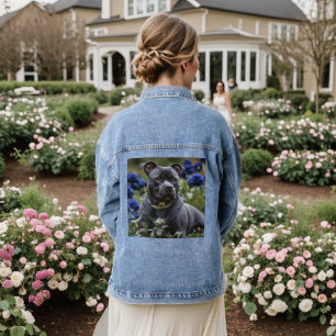 "Blauer Brindle Beauty: Ein Geheimtipp mit blauen  Jeansjacke