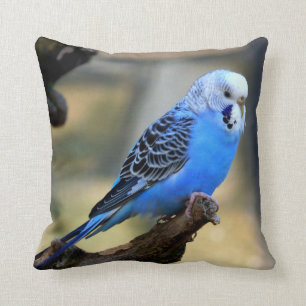 Blauer Budgie Papagei Kissen