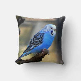 Blauer Budgie PapageiParakeet Kissen