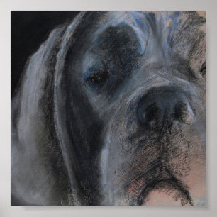 Blauer Dogge-Porträtposter im Pastellstil Poster
