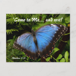 Blauer exotischer Schmetterling Postkarte