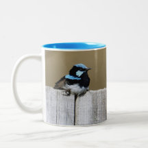 Blauer Fairy-Wren-Tasse