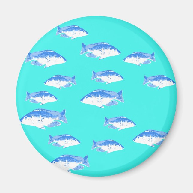 Blauer Fisch auf Türkis Magnet (Vorne)