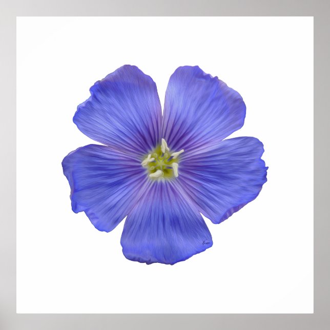 Blauer Flachs #1 Poster (Vorne)