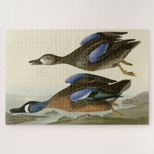Blauer Flügel Aquamarin von Audubons Vögeln von Am Puzzle