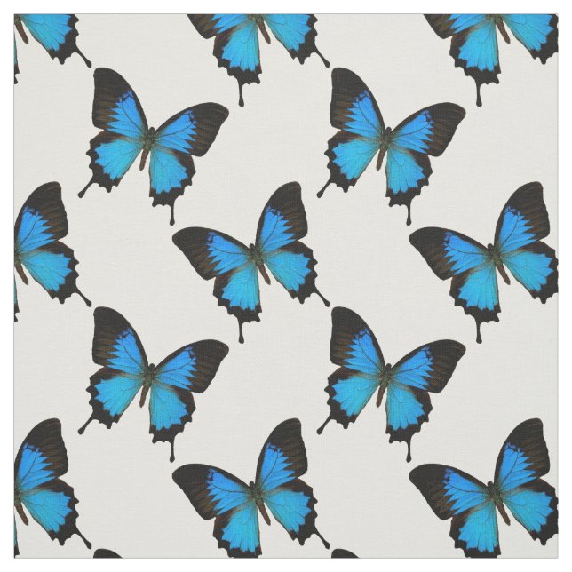 Blauer Frack Butterfly Stoff (Muster)