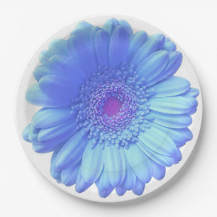 Blauer Gänseblümchen Pappteller