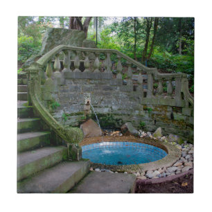 Blauer Garten Fliese