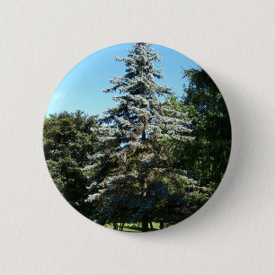 Blauer gezierter Knopf Button