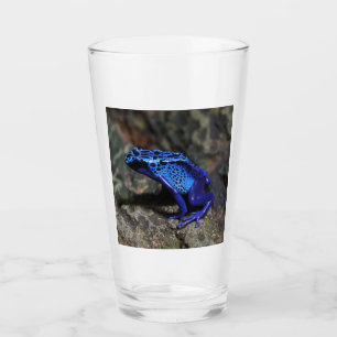 Blauer Gift-Dart-Frosch, heller Blaufrosch Glas