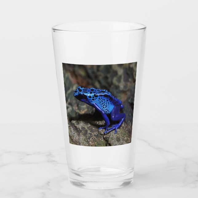 Blauer Gift-Dart-Frosch, heller Blaufrosch Glas (Vorderseite)
