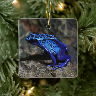 Blauer Gift-Dart-Frosch, heller Blaufrosch Keramikornament