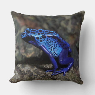 Blauer Gift-Dart-Frosch, heller Blaufrosch Kissen