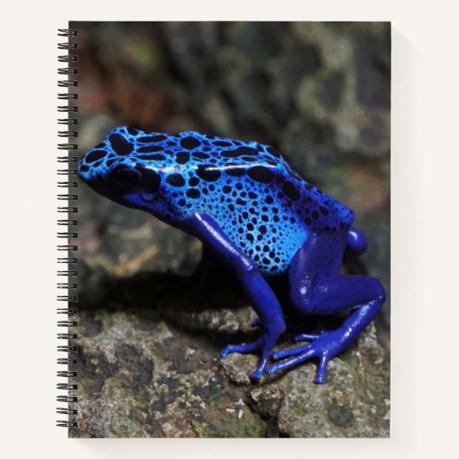 Blauer Gift-Dart-Frosch, heller Blaufrosch Notizbuch (Vorderseite)
