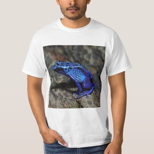 Blauer Gift-Dart-Frosch, heller Blaufrosch T-Shirt (Vorderseite)