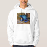 Blauer Gift-Pfeil-Frosch Dendrobates Azureus