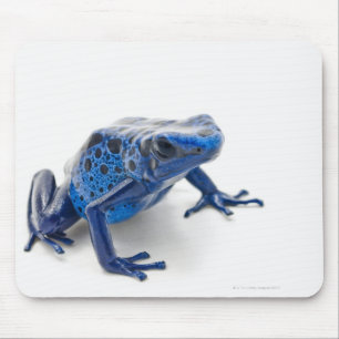 Blauer Gift-Pfeil-Frosch (Dendrobates Tinctorius) Mousepad