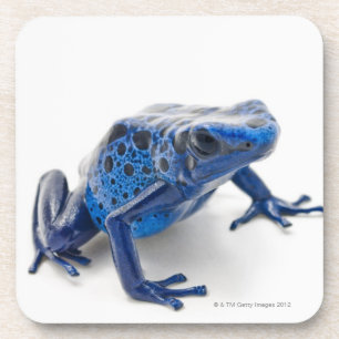 Blauer Gift-Pfeil-Frosch (Dendrobates Tinctorius) Untersetzer