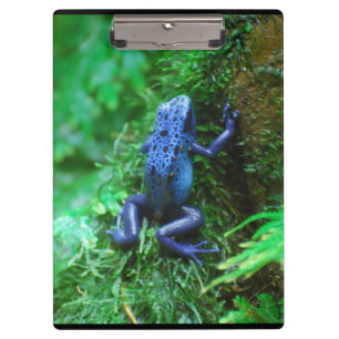 Blauer Gift-Pfeil-Frosch Klemmbrett