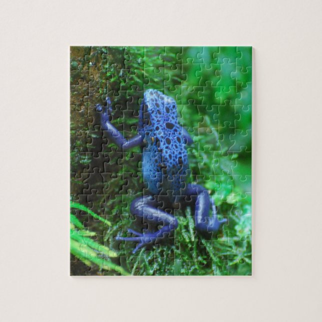 Blauer Gift-Pfeil-Frosch Puzzle (Vertikal)