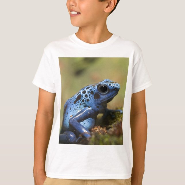 Blauer Gift-Pfeil-Frosch T-Shirt (Vorderseite)
