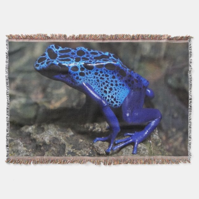Blauer Giftfrösch, Hellblauer Frosch Decke (Vorderseite)