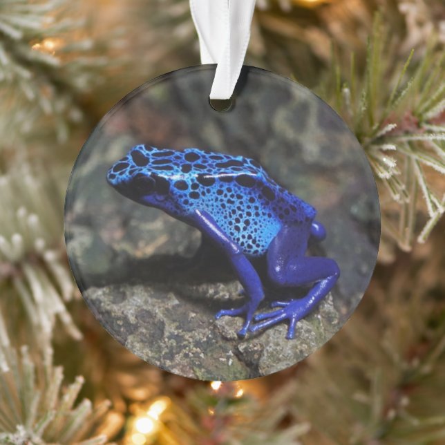 Blauer Giftfrösch, Hellblauer Frosch Ornament (Baum)