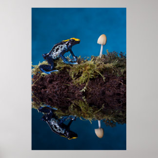 Blauer Giftfrosch und Pilz Poster