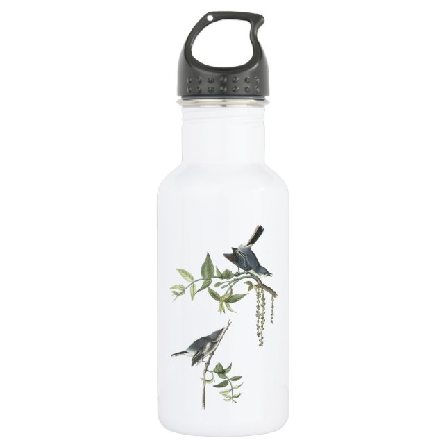 Blauer Gnatcatcher von Audubon Edelstahlflasche (Vorderseite)