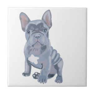 Blauer Grauer Bulldog Welpe Fliese