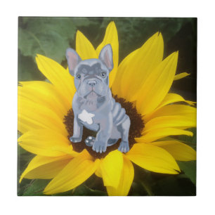 Blauer Grauer Bulldog Welpe und Sonnenblume Fliese