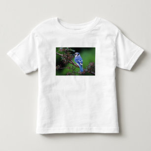 Blauer Häher, Cyaoncitta cristata Kleinkind T-shirt