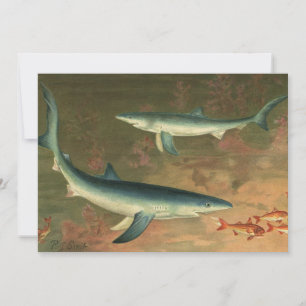 Blauer Hai beim Fressen von Fischen, Vintage Meere