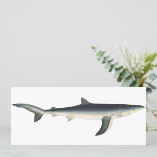 Blauer Hai, Vintage Aquatische Ozeanische Meeresle