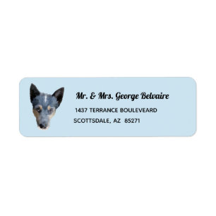 Blauer Heeler/Vieh-HundeRücksendeadresse-Aufkleber