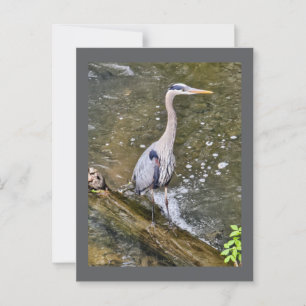 Blauer Held Postkarte
