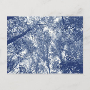 Blauer Herbst - Cyanotypie-Effekt Postkarte