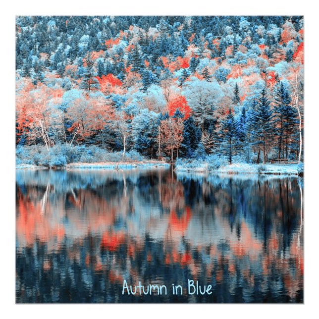Blauer Herbst Fotodruck (Vorne)