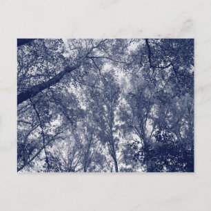 Blauer Herbst Postkarte
